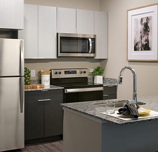 All-Inclusive NC State Apartments - Image 02